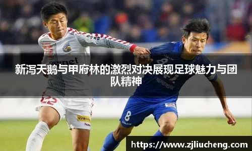 新泻天鹅与甲府林的激烈对决展现足球魅力与团队精神